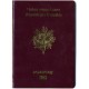 Pasaporte