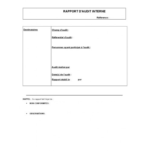 Rapport d'audit