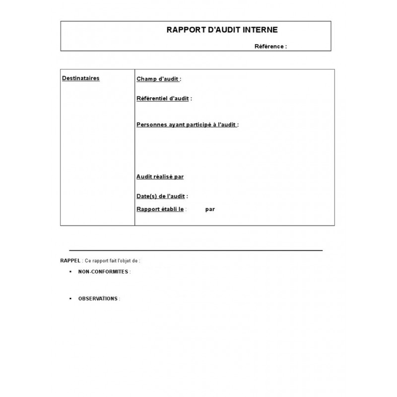 Rapport d'audit