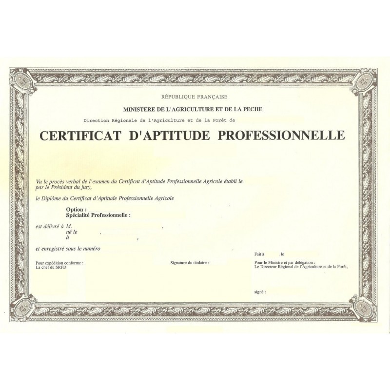 traduction-certificat-d-aptitude-professionnelle-tradasserment-e