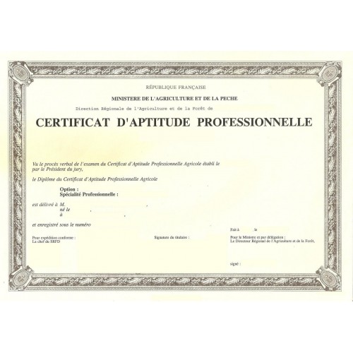 Certificat d'Aptitude Professionnelle